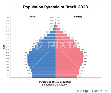 Population pyramid of Brazil 2023. Age structure diagram and graphical illustration of the distribution of over 216 million people, divided into females and males, quoted in percent and 4-year steps. Population pyramid of Brazil 2023. Age structure diagram and graphical illustration of the distribution of over 216 million people, divided into females and males, quoted in percent and 4-year steps. 118434030
