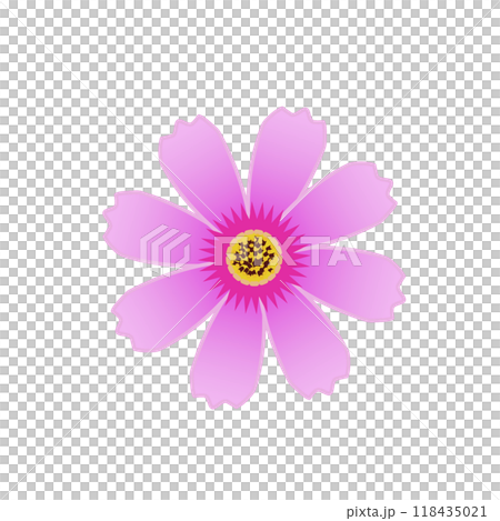 コスモスの花のイラスト 118435021