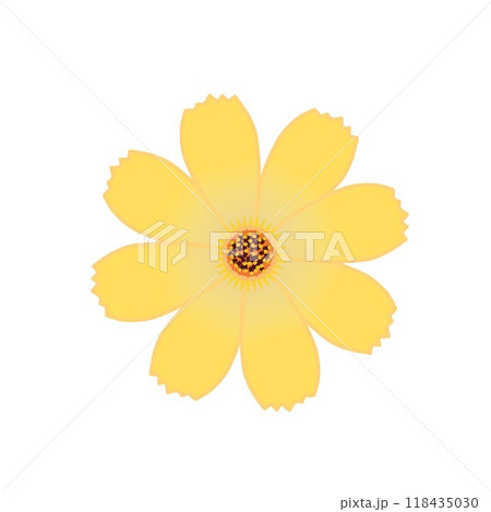 コスモスの花のイラスト コスモスの花のイラスト 118435030