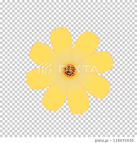 コスモスの花のイラスト コスモスの花のイラスト 118435030