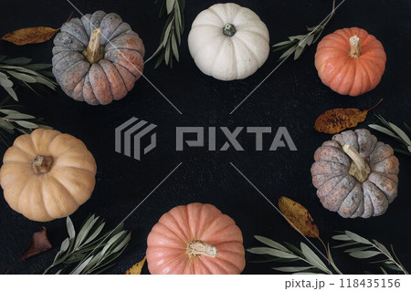 Autumn pumpkins, colorful leaves, olive tree branches set against a black backdrop. Room for text. Festive natural background, floral wreath for greetings. Thanksgiving, Halloween holiday celebrations 118435156