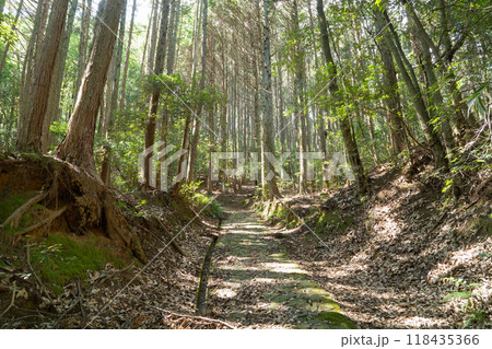 かえりばさ峠の登山道（柳生街道・剣豪の道） 118435366
