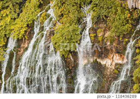 【美瑛町白ひげの滝】 【美瑛町白ひげの滝】 118436289