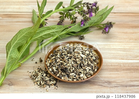 Dried roots of comfrey, lat. Symphytum officinale, and fresh plant on wood table. Dried roots of comfrey, lat. Symphytum officinale, and fresh plant on wood table. 118437986
