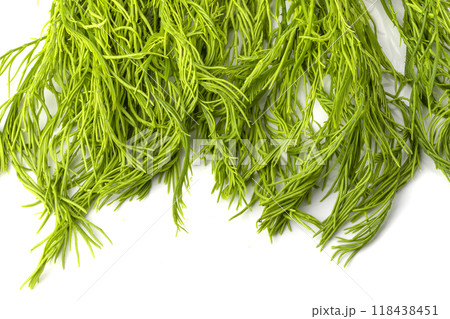 Climbing Wattle or Acacia vegetable isolate on a white background Climbing Wattle or Acacia vegetable isolate on a white background 118438451