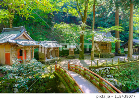 曹洞宗大本山 永平寺 曹洞宗大本山 永平寺 118439077