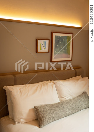 アイルランド　ダブリンのホテル 118439391