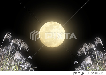 ススキと満月が幻想的にボヤけた中秋の名月のお月見背景素材 118440303