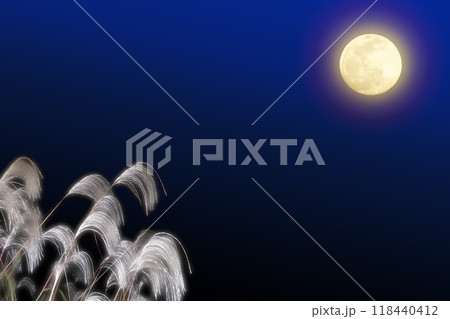 中秋の名月の満月とススキが美しい月見の背景素材 118440412