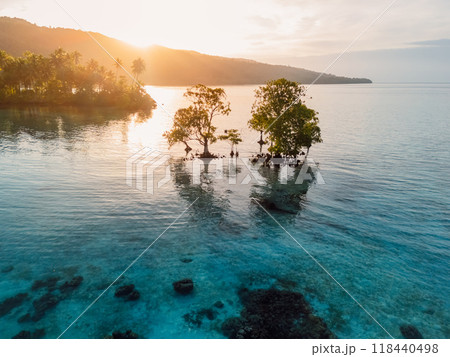 Scenic landscape with mangrove trees in blue sea and sunrise or sunset sunlight in Indonesia. Scenic landscape with mangrove trees in blue sea and sunrise or sunset sunlight in Indonesia. 118440498