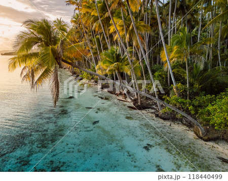 Paradise beach with coconut trees and sunrise sunshine on scenic island in Indonesia. Travel vacation concept. 118440499