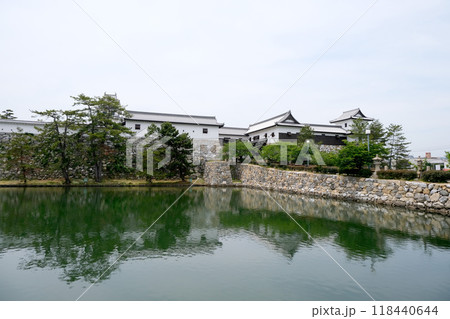 愛媛県今治市_今治城内堀跡10_2024年5月 118440644