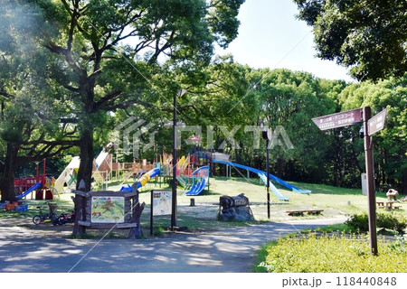 神奈川県　平塚市総合公園のわんぱくひろば 118440848