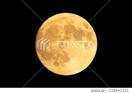 中秋の名月 118441325