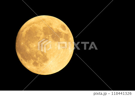 中秋の名月 コピースペース 中秋の名月 コピースペース 118441326