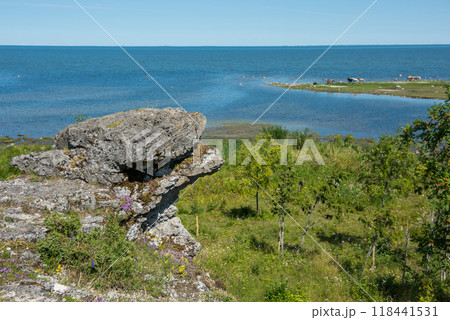 Uugu bluff or cliff on the Muhu Island in Estonia, located by the Baltic sea 118441531