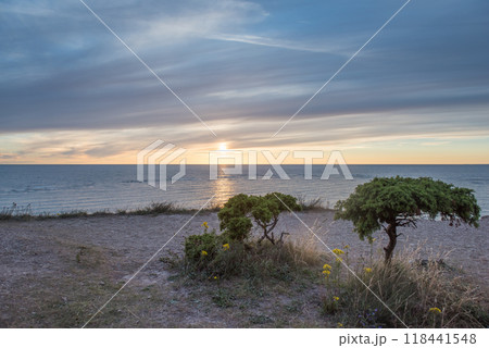 Panga cliff. Panga, Saaremaa Island, Baltic Sea, Estonia Panga cliff. Panga, Saaremaa Island, Baltic Sea, Estonia 118441548