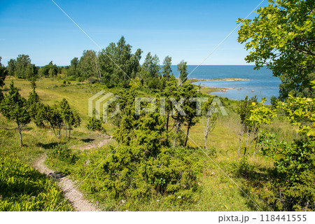 Uugu bluff or cliff on the Muhu Island in Estonia, located by the and near the island of Saaremaa 118441555