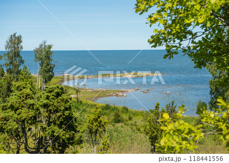 Uugu bluff or cliff on the Muhu Island in Estonia, located by the and near the island of Saaremaa 118441556