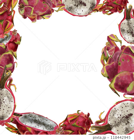 Pitaya frame, pink dragon fruit. Exotic tropical ripe fruits, slices and whole, hand drawn watercolor painting in realistic style. Exotic fruits Pitaya frame, pink dragon fruit. Exotic tropical ripe fruits, slices and whole, hand drawn watercolor painting in realistic style. Exotic fruits 118442945