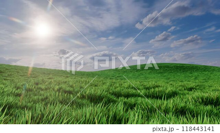 Lush fresh green grass on empty field under blue cloudy sky at sunny spring day. With no people springtime or summer natural background 3D illustration from my own 3D render. Lush fresh green grass on empty field under blue cloudy sky at sunny spring day. With no people springtime or summer natural background 3D illustration from my own 3D render. 118443141