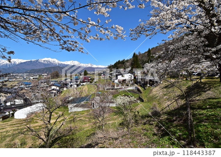 千国街道（塩の道）から眺める満開の桜と北アルプス、大町市の田園風景　大町市市民の森付近 118443387