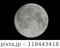 月 118443418
