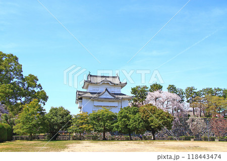 愛知県名古屋市、満開の桜と名古屋城東南隅櫓の風景 愛知県名古屋市、満開の桜と名古屋城東南隅櫓の風景 118443474