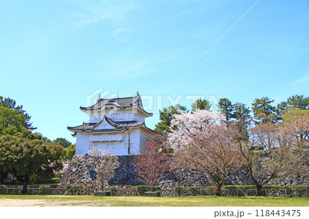 愛知県名古屋市、満開の桜と名古屋城東南隅櫓の風景 118443475