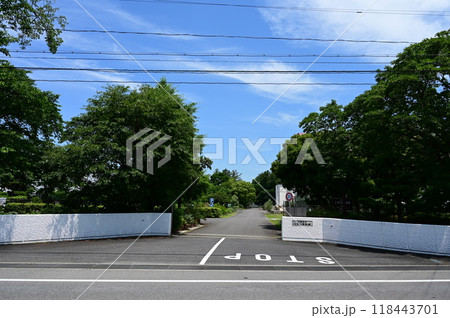 内藤記念くすり博物館の入り口 118443701