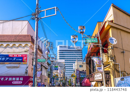 日本の東京都市景観　東急電鉄　旗の台駅前の昭和大学通りなどを望む 118443748