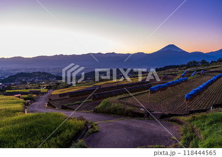 【山梨県】夜明け前の、中野の棚田と富士山 118444565