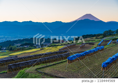 【山梨県】夜明け前の、中野の棚田と富士山 【山梨県】夜明け前の、中野の棚田と富士山 118444569