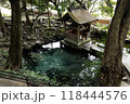 泉神社 118444576