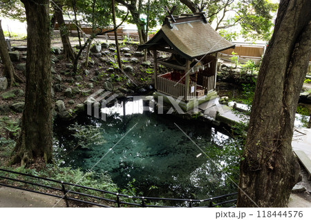 泉神社 118444576