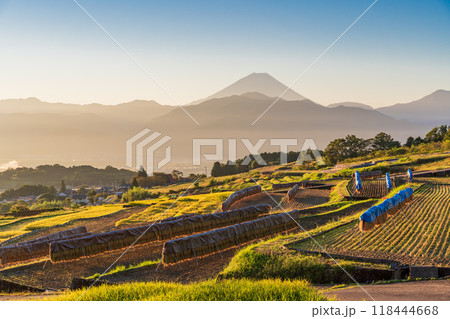 【山梨県】収穫期の中野の棚田と富士山 日の出 【山梨県】収穫期の中野の棚田と富士山 日の出 118444668