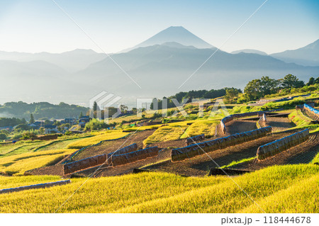 【山梨県】収穫期の中野の棚田と富士山　日の出 118444678