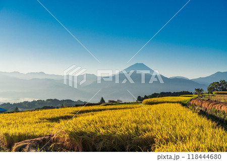 【山梨県】収穫期の中野の棚田と富士山　日の出 118444680