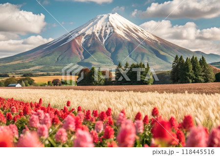 Mountain Range in the Background with Open Field in Foreground 118445516