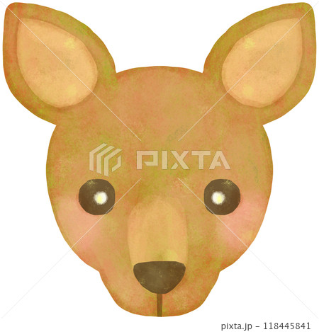 かわいいカンガルーのイラスト 顔 かわいいカンガルーのイラスト 顔 118445841