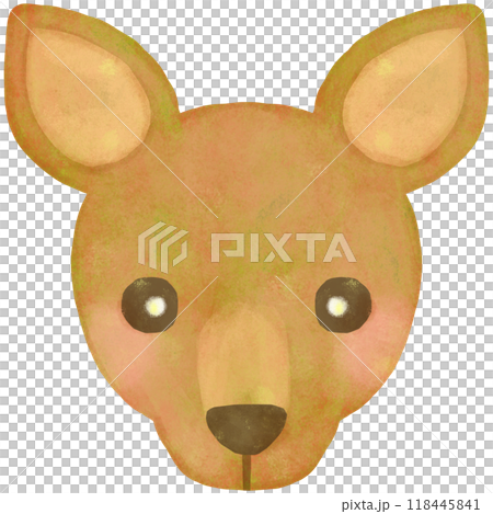 かわいいカンガルーのイラスト 顔 かわいいカンガルーのイラスト 顔 118445841