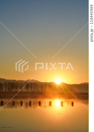 朝の福島潟（新潟県） 118445984