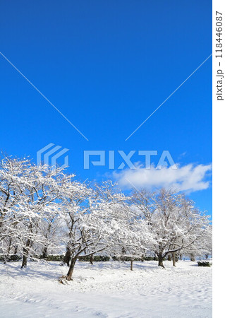 冬の上堰潟公園(新潟県) 冬の上堰潟公園(新潟県) 118446087