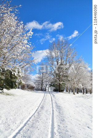 冬の上堰潟公園（新潟県） 118446090