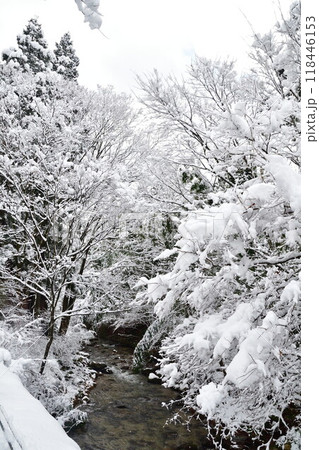 冬の剣龍峡(新潟県) 冬の剣龍峡(新潟県) 118446153