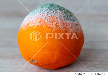 Close-up on a moldy orange surface 118446744
