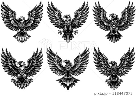 A set of images of a black eagle with spread wings 118447073