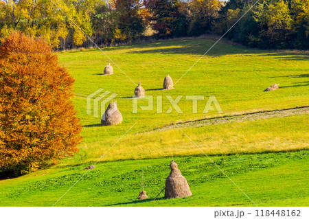haystack on the grassy field in autumn. rural landscape in carpathian mountains. warm sunny afternoon weather. traditional countryside scenery haystack on the grassy field in autumn. rural landscape in carpathian mountains. warm sunny afternoon weather. traditional countryside scenery 118448162