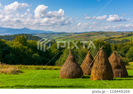 haystack on the grassy field in autumn. rural landscape in carpathian mountains haystack on the grassy field in autumn. rural landscape in carpathian mountains 118448169