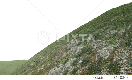nature grass meadow land lush greenery landscape lawn isolated background. meadow green hill plant beautiful spring mountain park environment 3d render. grass plant field summer travel outdoor. 118448808